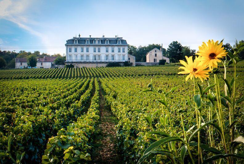 Gites Chateau Comblanchien Exteriér fotografie